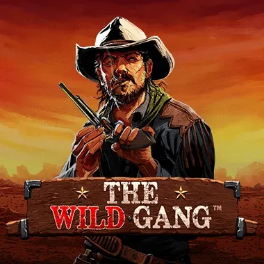 Betwinner game